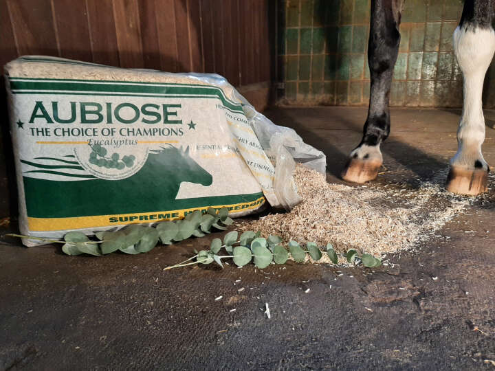 AUBIOSE Hanfeinstreu mit Eukalyptus für Pferde